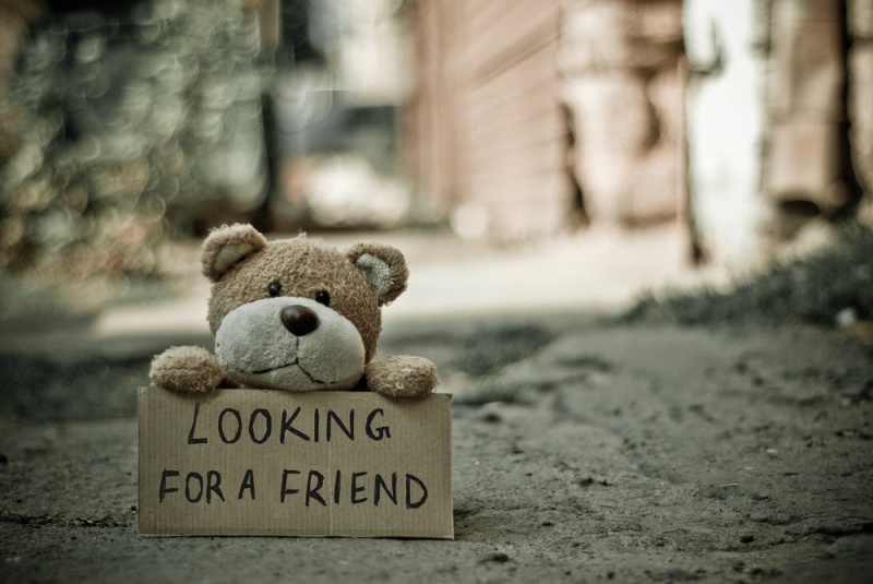 En nalle med en skylt där det står "looking for a friend"
